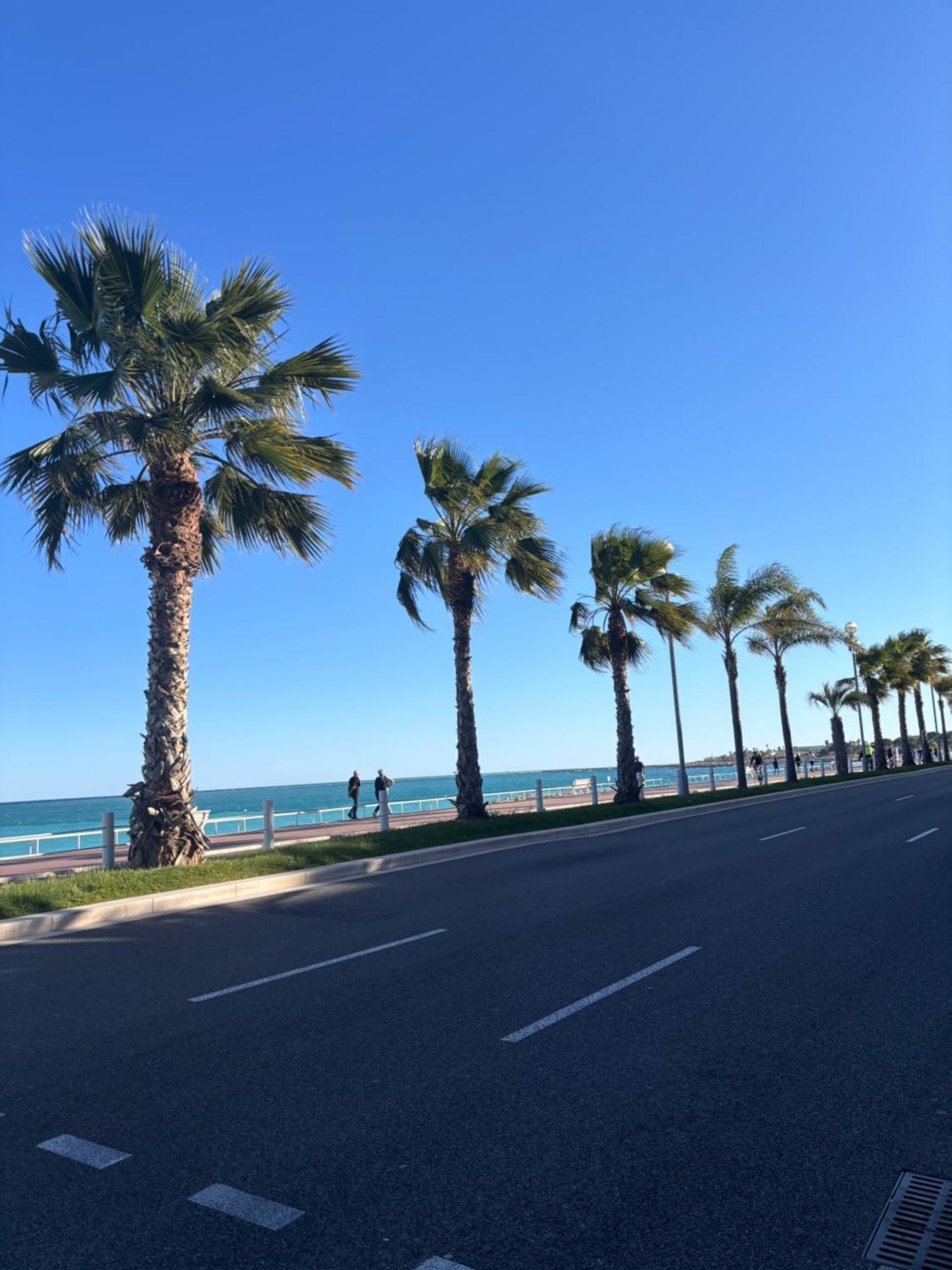 Grand Studio De 30 M2 Promenade Des Anglais Nisa Exterior foto